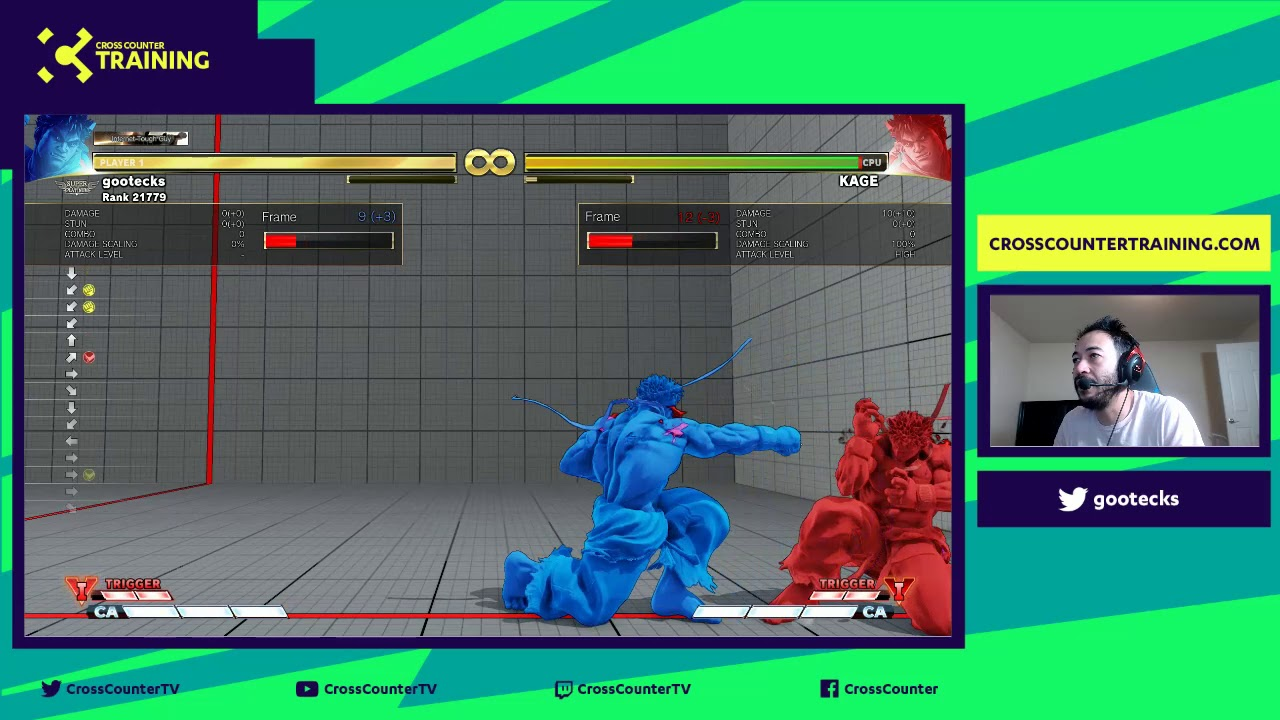 Modo entrenamiento con visualización de inputs
